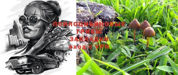 скорость Заводоуковск