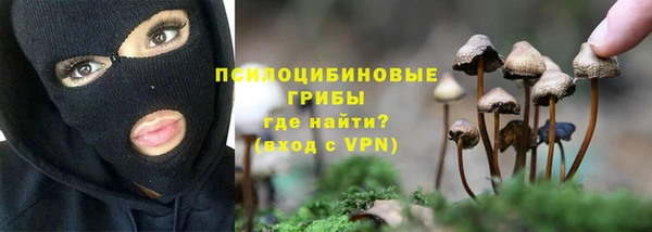 дживик Заволжье